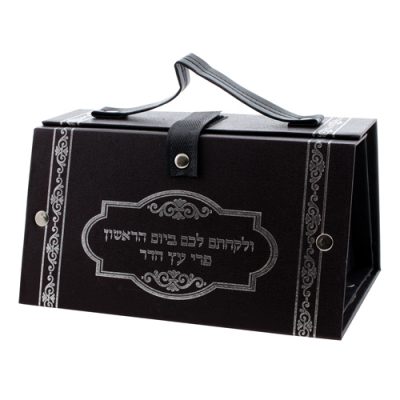 קופסת אתרוג מעור סינטטי 11x19x13 ס"מ - עם הדפס כסף