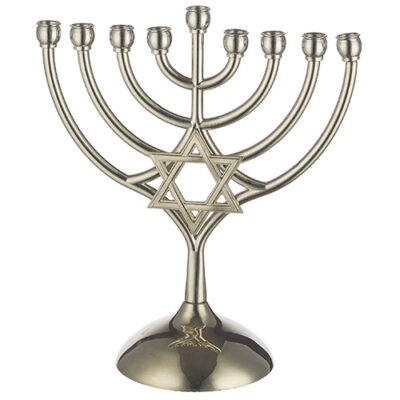Metal Menorah 18*16 Cm-magen David