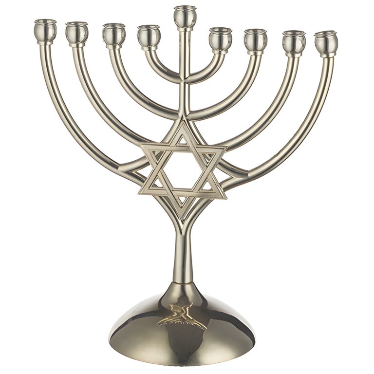 Metal Menorah 18*16 Cm-magen David
