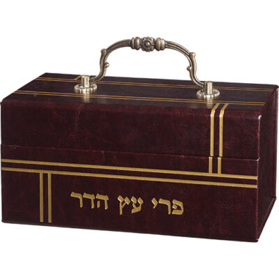 Leatherette Etrog Box with Handle & Lock 13*19*11 cm - Brown