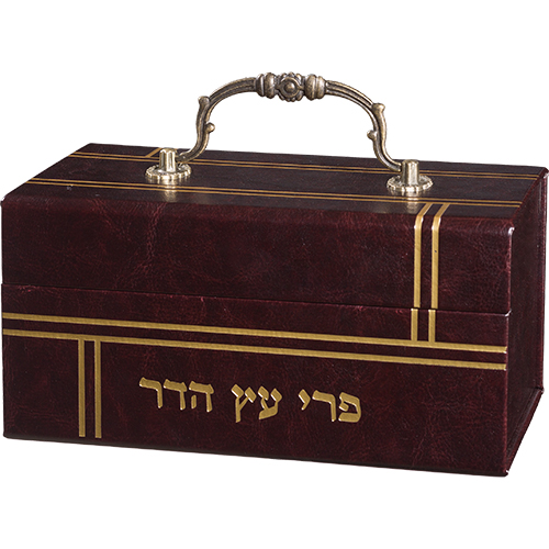 Faux Leather Etrog Box with Handle & Lock 13*19*11 cm - Brown