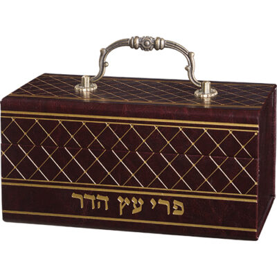 Leatherette Etrog Box with Handle & Lock 13*19*11 cm - Brown