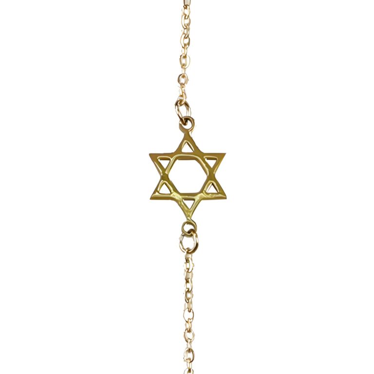 Stainless Steel Bracelet 22 cm- Magen David 2.5 cm