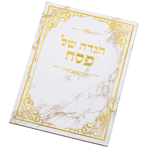 ART Passover Hagadah soft cover 24x17 cm