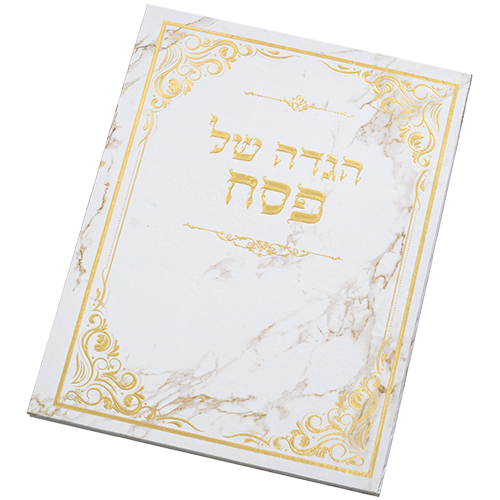 ART Passover Hagadah Hard Cover 22x30 cm