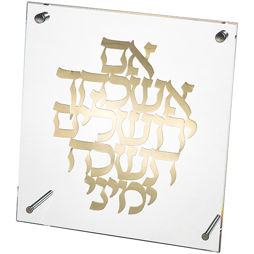 מסגרת פרספקס מהודרת עם פלקטה 23x24 ס"מ