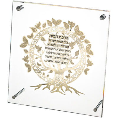 Lucite Frame with Plate 24*23 cm