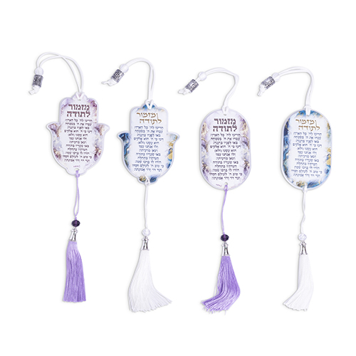 סטנד 24 יח מעורב של חמסות פרספקס לרכב 8 ס"מ