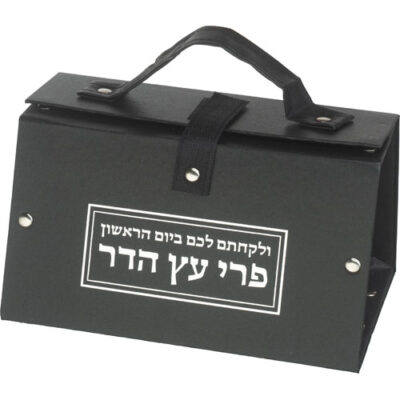 קופסת אתרוג מעור סינטטי 11*19*13 עם הדפס כסף