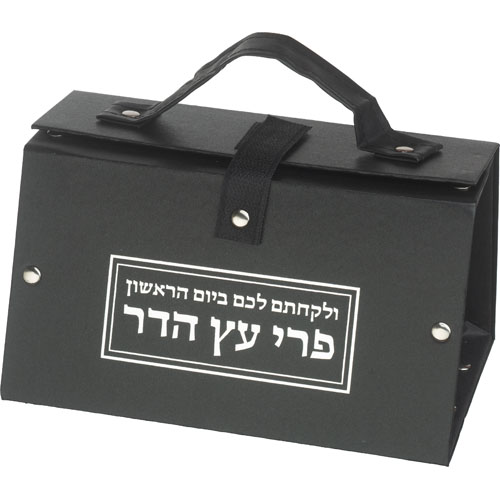 כלי לאתרוג דמוי עור הדפסה כסף 11X19X13 ס"מ