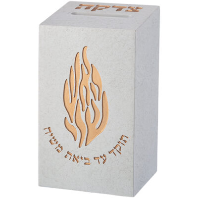 קופת צדקה פולימר 13 ס"מ