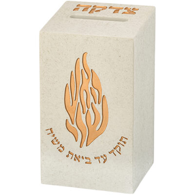 קופת צדקה פולימר 13 ס"מ