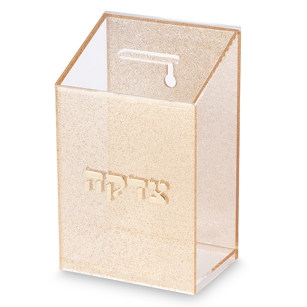 Lucite Tzedakah Box 16 CM