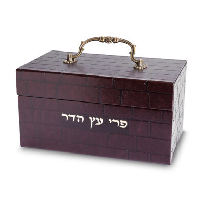 קופסת אתרוג מעור סינטטי עם ידית מתכת 11x20x12 ס"מ